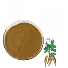 High-quality natural Pueraria lobata root extract powder Pueraria lobata root